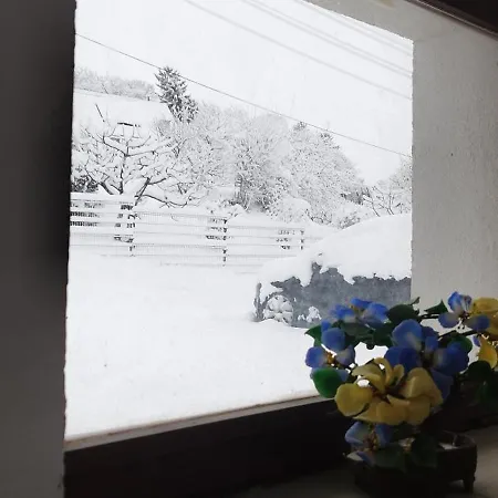 Apartment Sl-house *